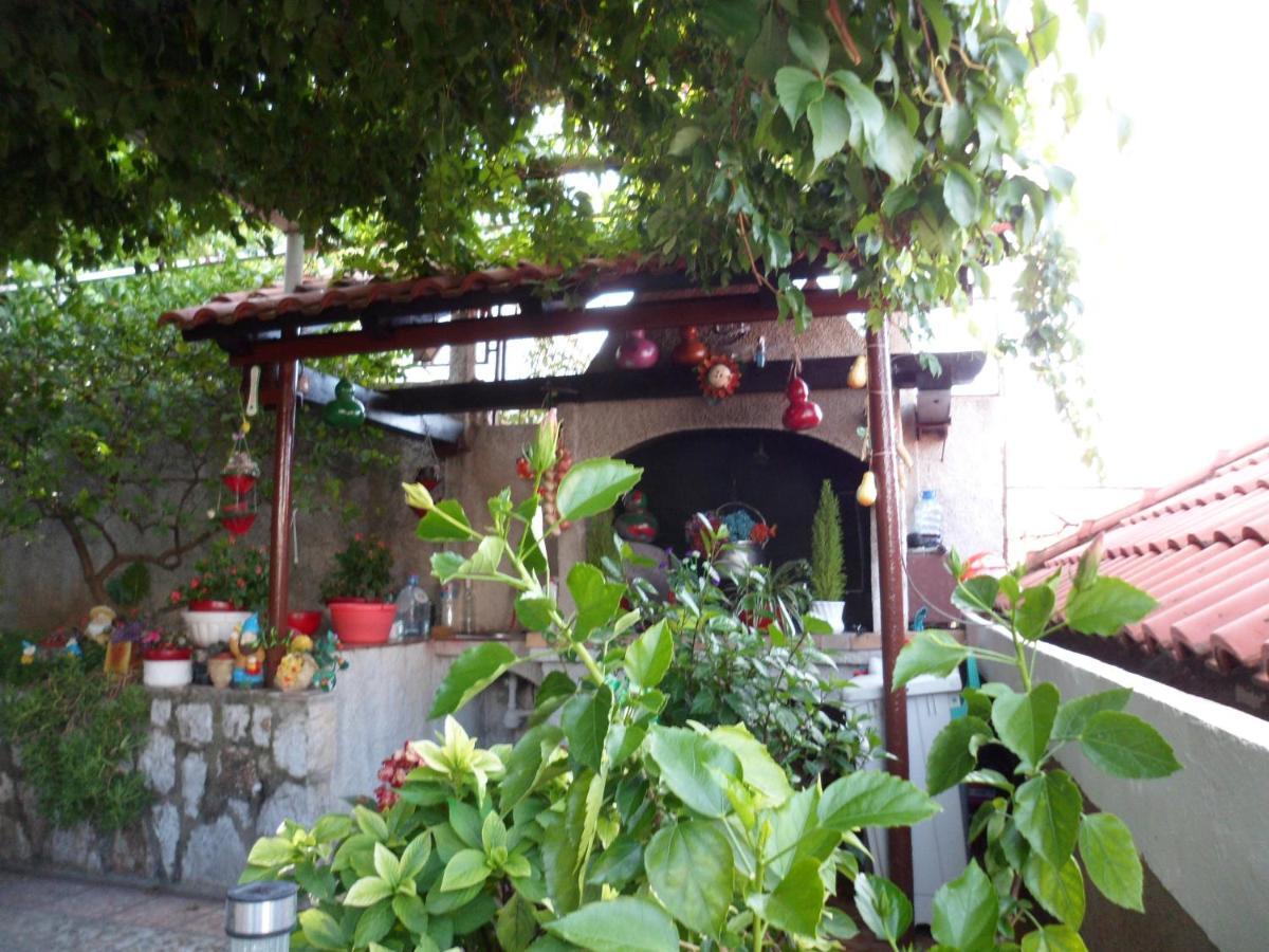 Guesthouse Ivona Dubrovnik Habitación foto